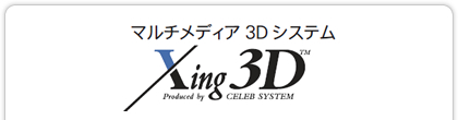 マルチメディア3Dシステム　Xing3D